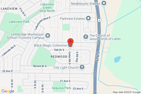 Church of Jesus Christ of Latter-Day Saints the, L D S Family Services