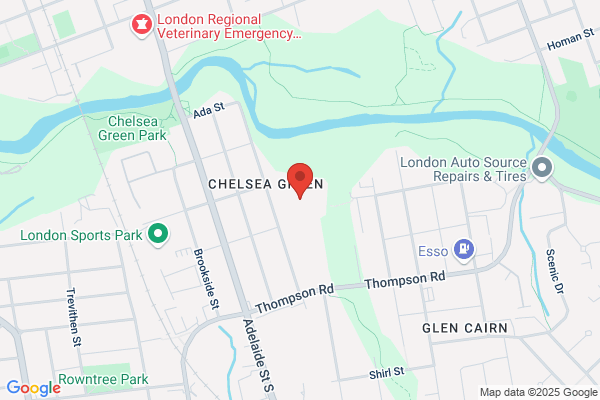 Thames Valley District School Board, Adult and Continuing Education, Adult Basic Education (Literacy Numeracy Non-Credit