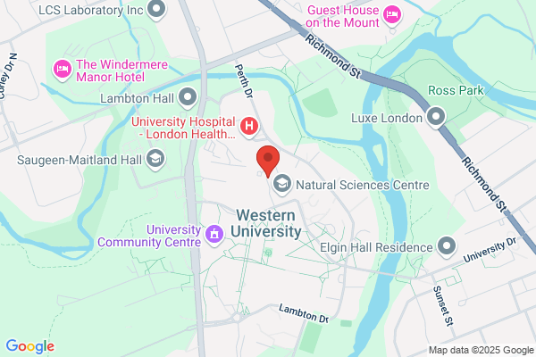 University of Western Ontario, Libraries, Taylor (Allyn & Betty) Circulation