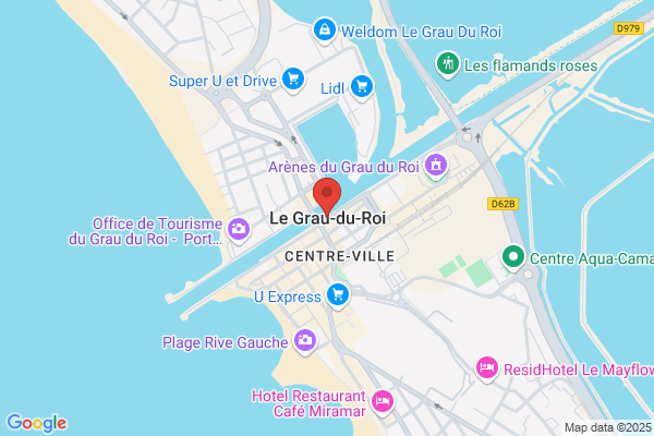 Le roi D'or