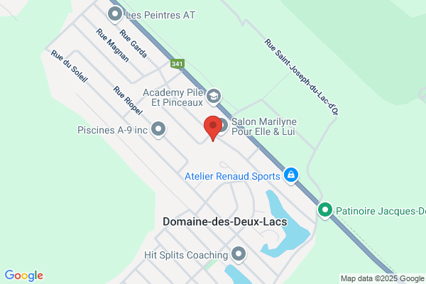 Services d'Arbres Messier