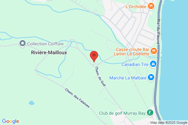 Pro Mecanique Plus