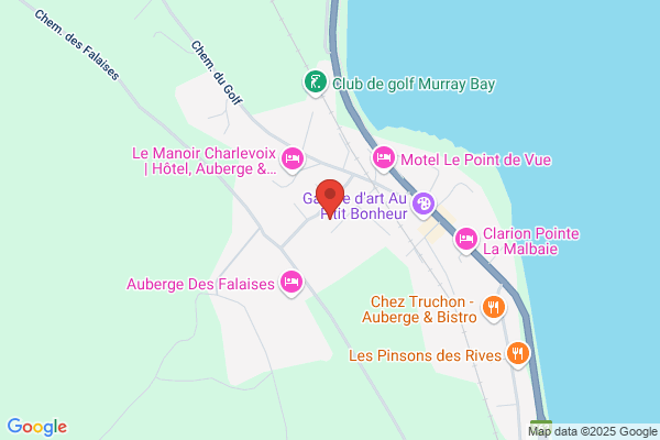 Location De Grues Daniel Fortin Inc