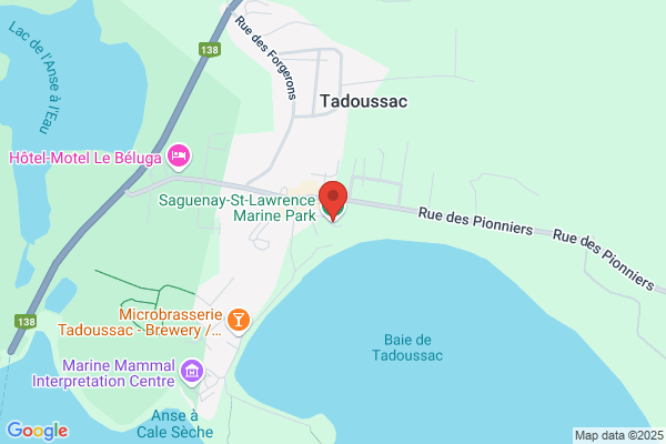Parc Marin Du Saguenay St-Laurent