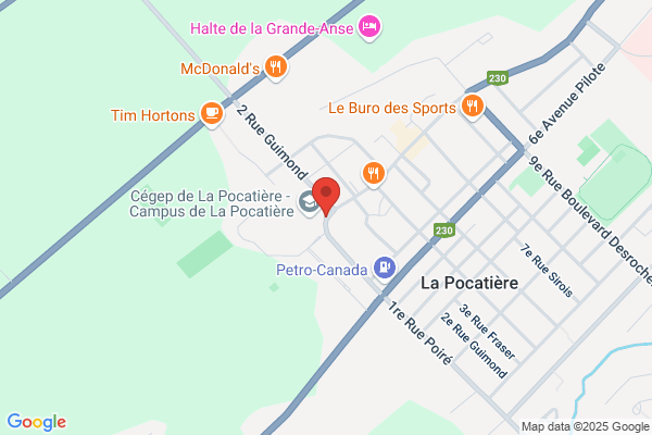 Fondation Canadienne Du Foie