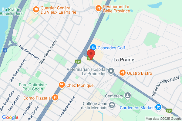 Levesque Francine