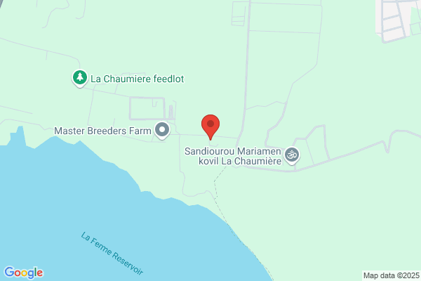 Bobines Mauriciennes (Les) Enr