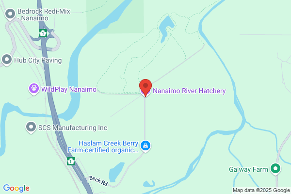 Fish/Fisheries, Fisheries and Oceans Canada, Hatcheries, Nanaimo River Cassidy