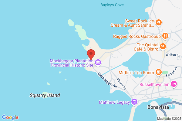 Bonavista Cottages