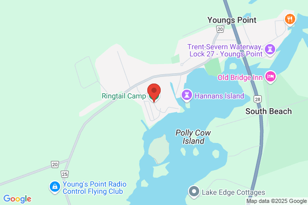Ringtail Camp Inc
