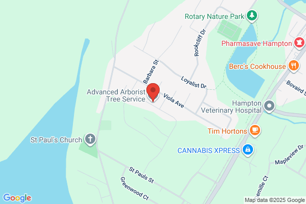 Advanced Arborist Tree Service Ltd