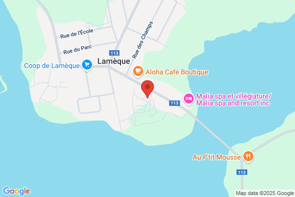 Savoie Débossage Ltée Parties D'Auto et Pneus