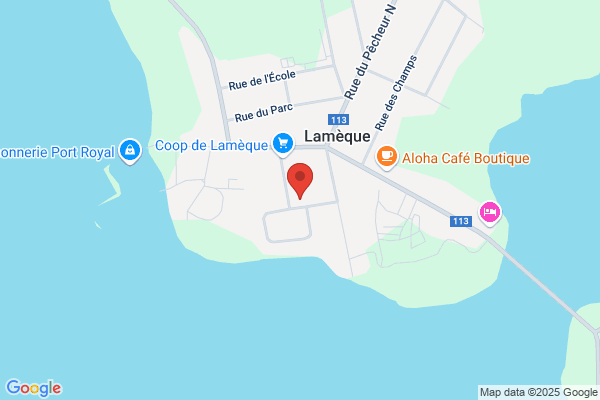 Clinique Sante-Beaute Chez Rachelle C Larocque