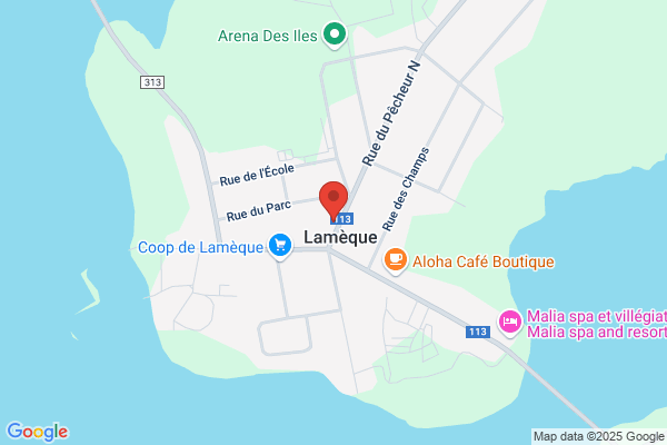 Info Tourisme & Internationale Ltee