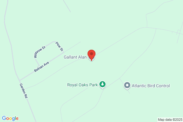 Gallant Land Surveyors