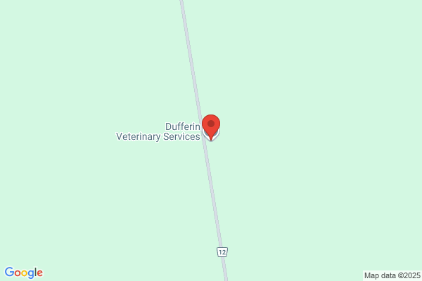Dufferin Veterinary Services