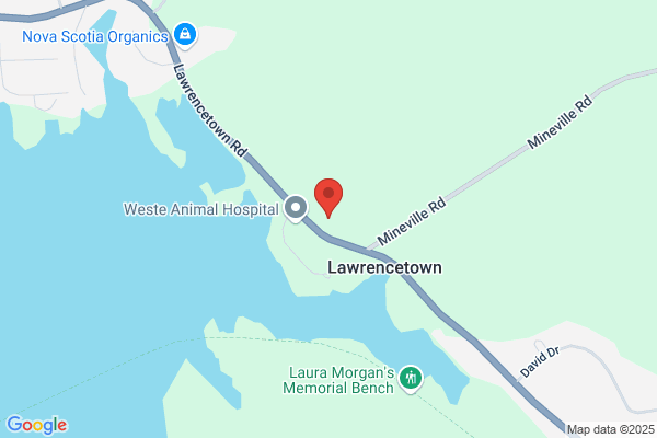 Lawrencetown Beach Volunteer Fire and Emergency Serv