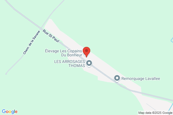 Construction Omega