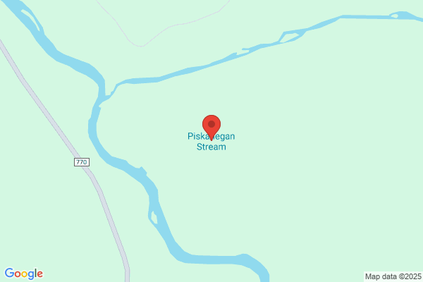 Piskahegan River Co Inc, Pitre Claims Service