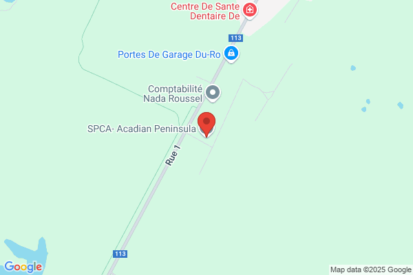 Spca Peninsule Acadienne