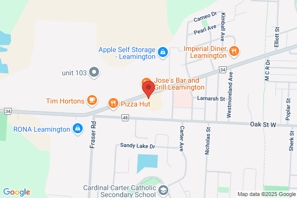 NAPA Auto Parts - Leamington Automotive