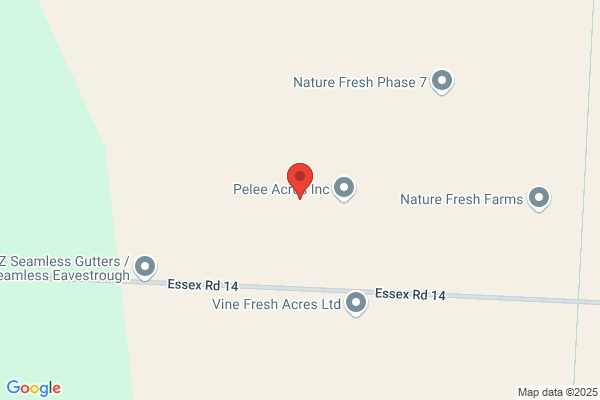 Enns Plant Farm
