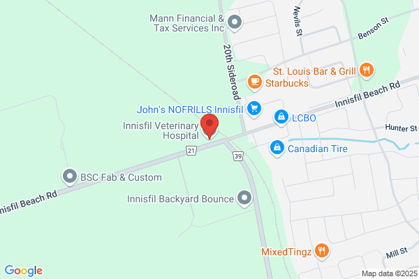 Innisfil Veterinary Hospital