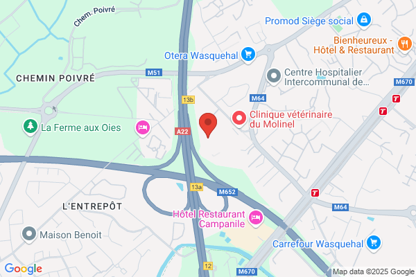 Groupement Des Associations De Personneshandicapees