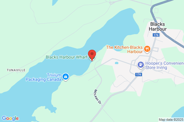 Village of Blacks Harbour, Public Works