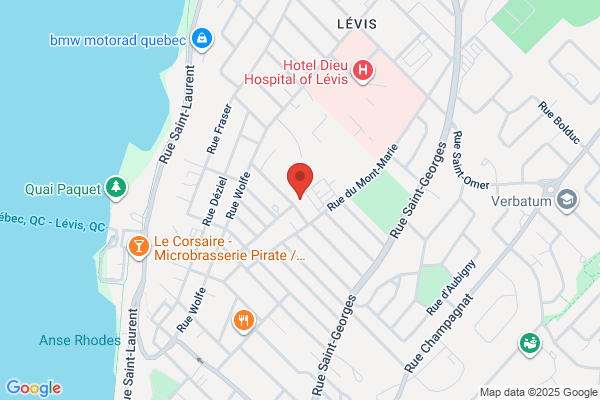 College De Levis