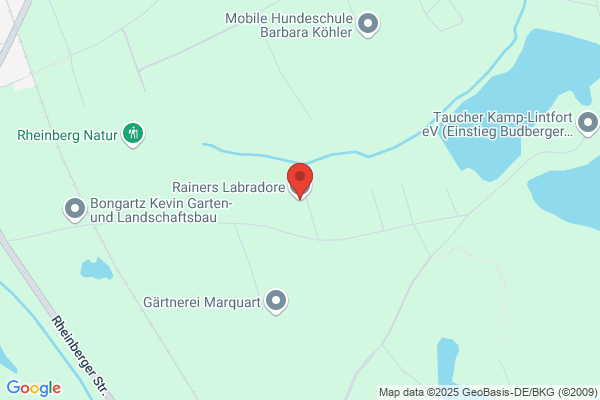 Labrador Mini Mart