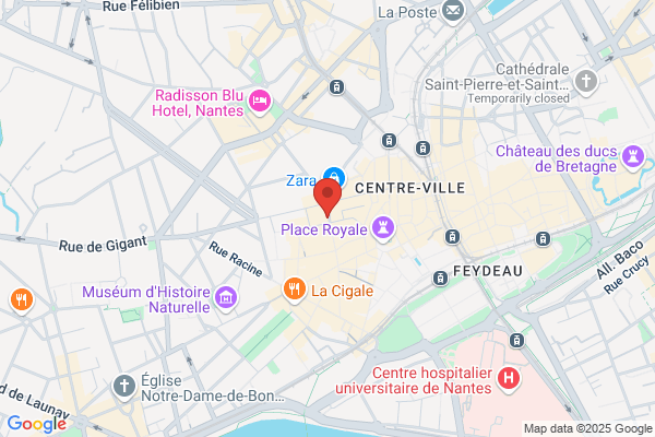 Societe D'implantologie Dentaire