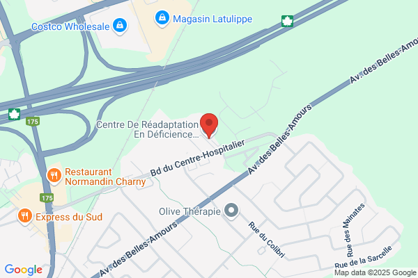 Institut De Readaptation En Deficience Physique De Q, Administration