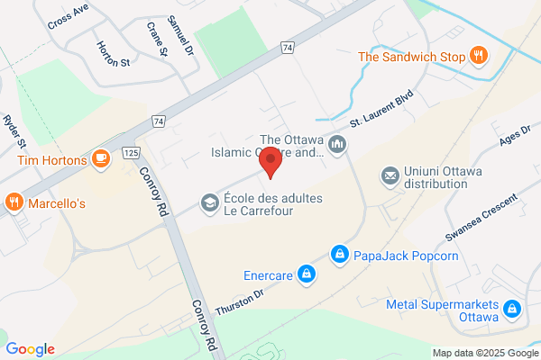 Promaxis Systems Inc