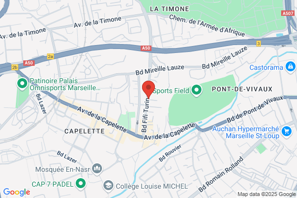 Maitres Du Meubles (Les)