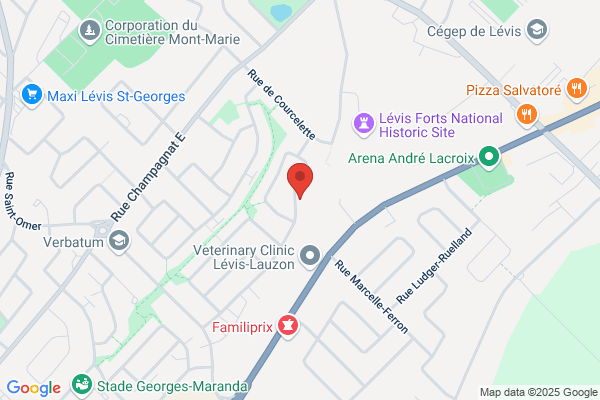 Centre De Service Levesque & Fils Inc