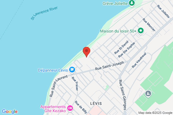 Centre Hospitalier Robert-Giffard, Direction Des Soins Et Des Services Cliniques