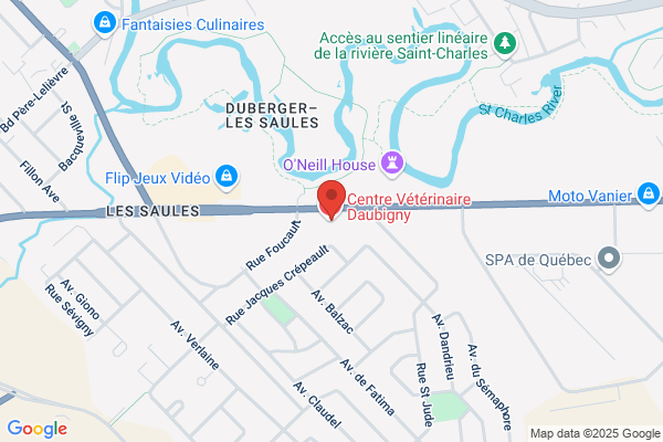 Clinique Veterinaire Daubigny