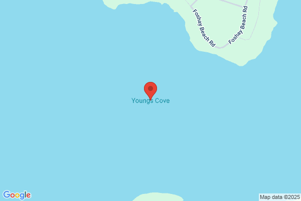 Acadian, Young's Cove
