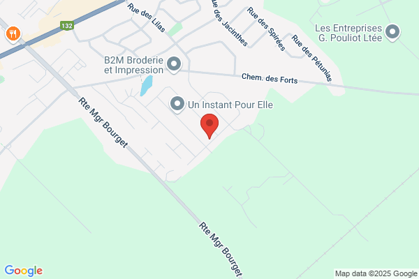 Progestion Informatique Inc