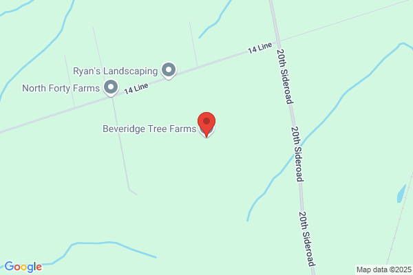 Beveridge Tree Farms