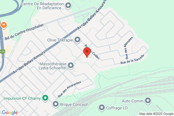 Ateliers Queue De Chemise (Les)