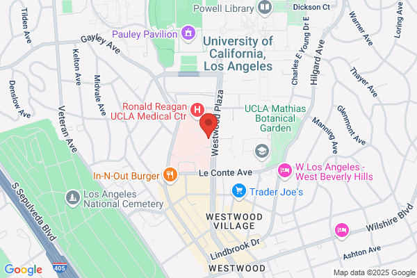 Hilton Lee Dr Podiatrist