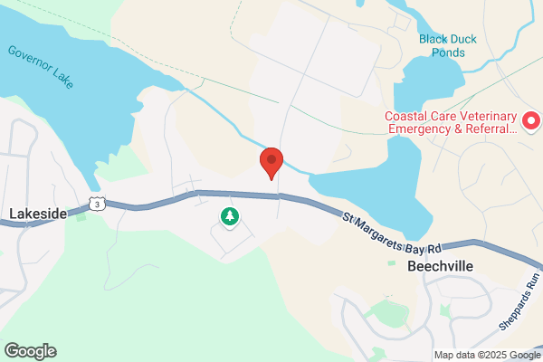 Harbourside Realty Ltd, Note Direct Line For Each Agent, Bancroft Colin