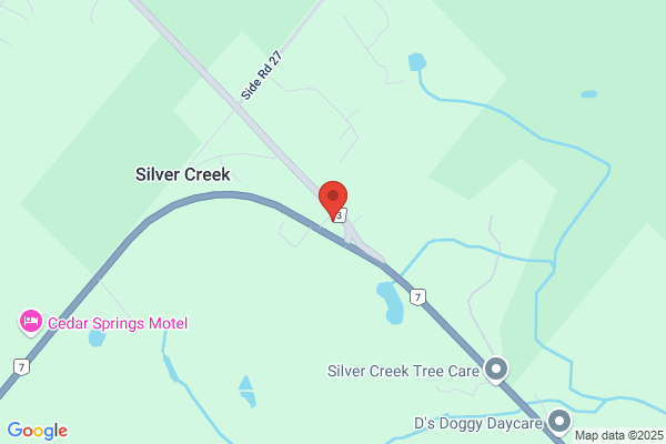 NAPA AUTOPRO - Silver Creek Service Center