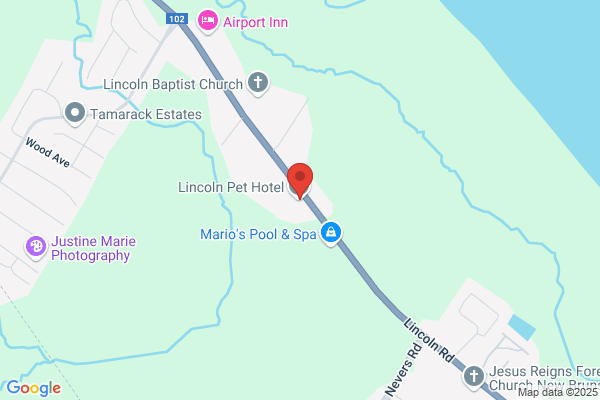 Lincoln Pet Hotel