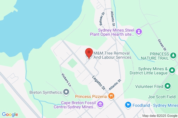 M&M Tree Removal And Labour Services