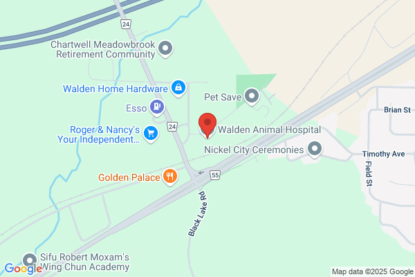 Walden Animal Hospital