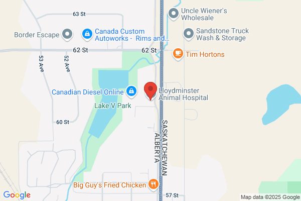Lloydminster Animal Hospital