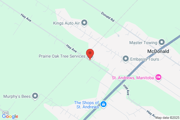 Prairie Oak Tree Services